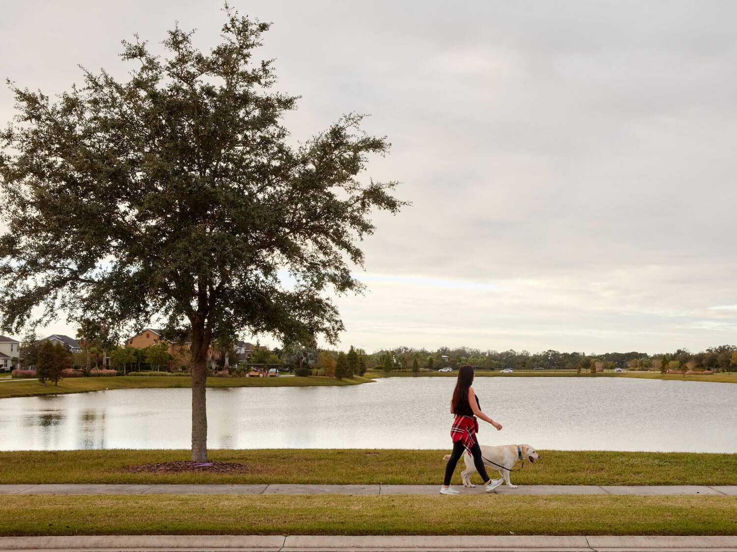 A resident walking a dog by a pond with grass and trees near Ridley at Waterset apartments in Apollo Beach, FL.