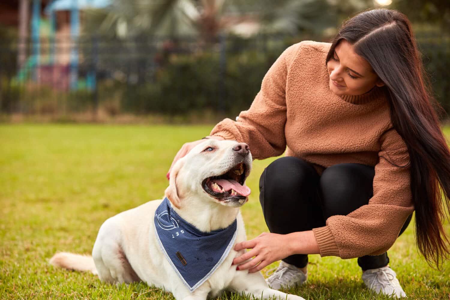A resident petting a yellow lab dog on the grass at Ridley at Waterset's pet-friendly apartment community.